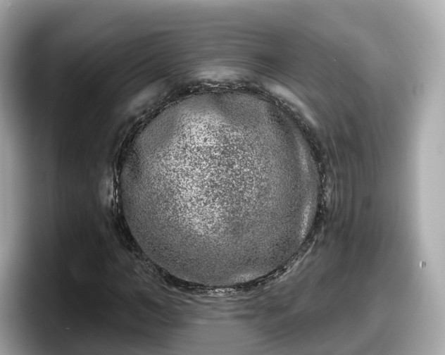 X0000098090966200804110959