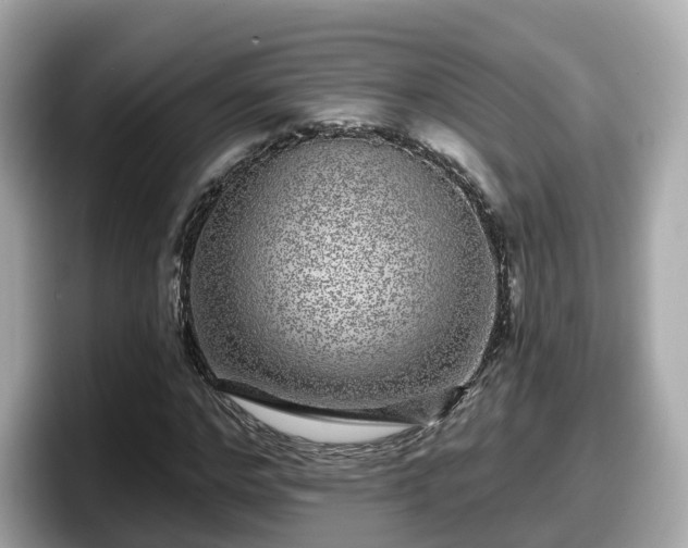 X0000098090968200804110959