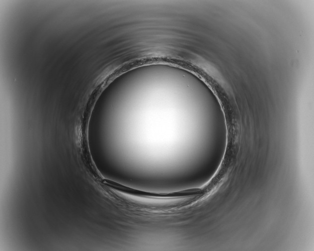 X0000098090969200804110959
