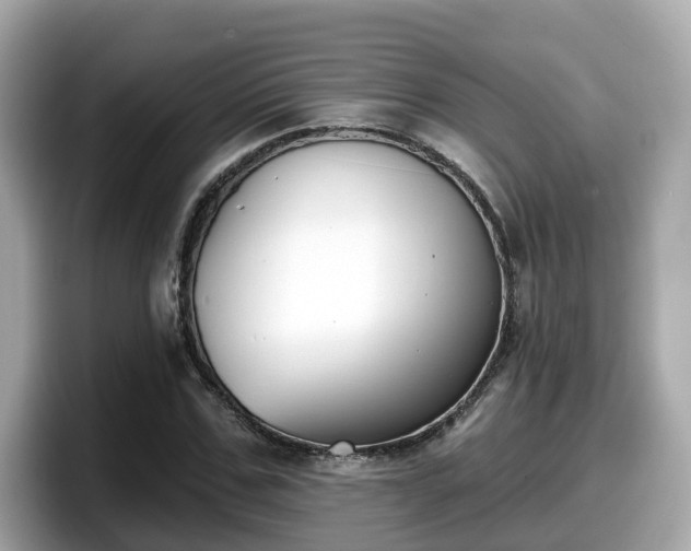 X0000098090971200804110959