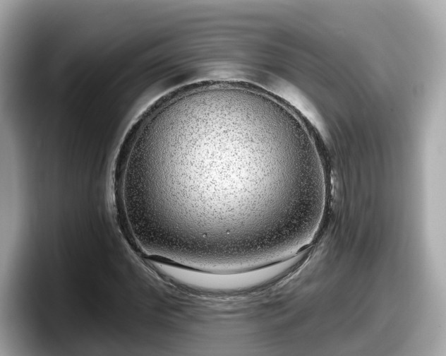 X0000098090972200804110959