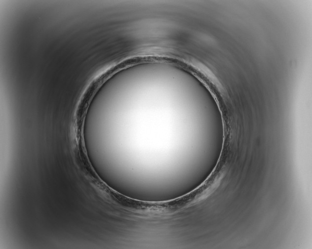 X0000098090974200804110959