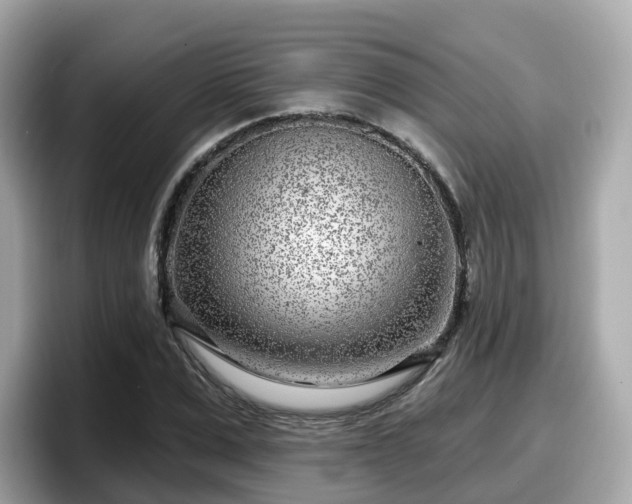X0000098090975200804110959