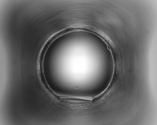 X0000098090976200804110959