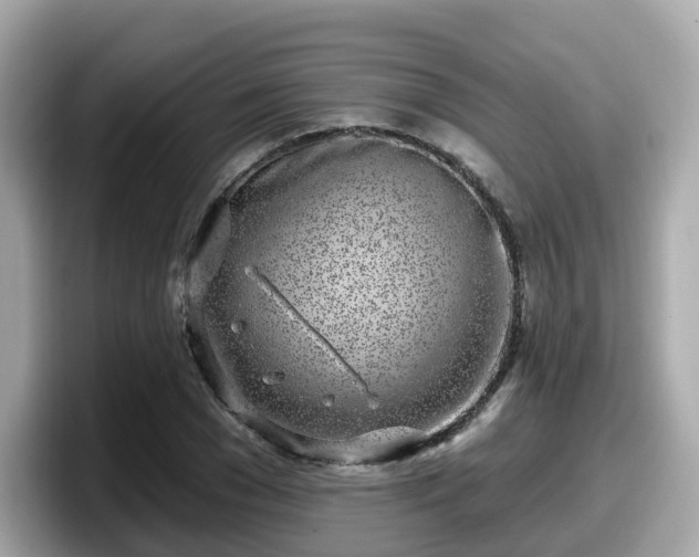 X0000098090977200804110959