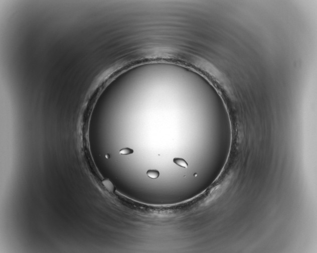 X0000098090978200804110959