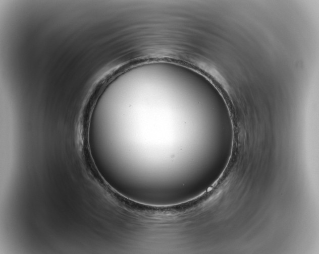 X0000098090979200804110959