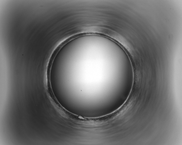 X0000098090980200804110959