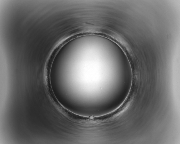 X0000098090981200804110959