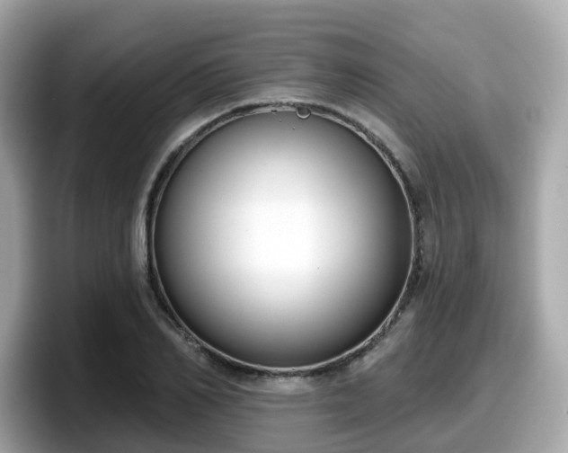 X0000098090982200804110959