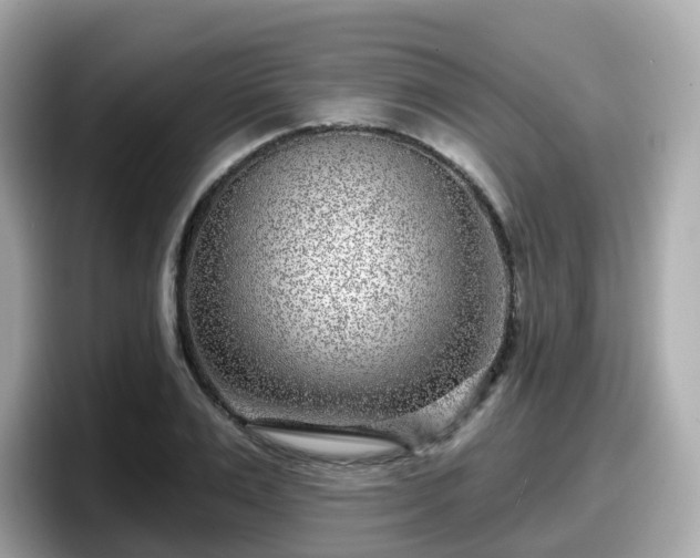 X0000098090983200804110959