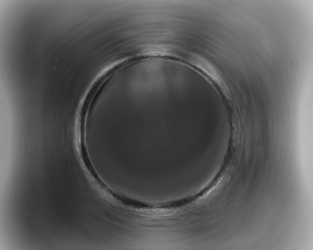 X0000098090984200804110959