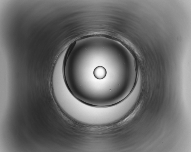 X0000098090985200804110959