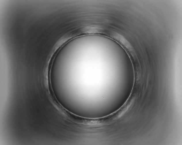 X0000098090986200804110959