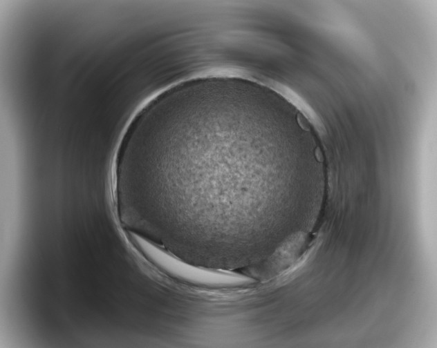X0000098090988200804110959