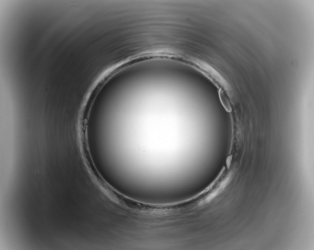 X0000098090989200804110959