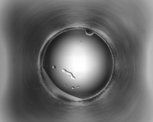 X0000098090990200804110959