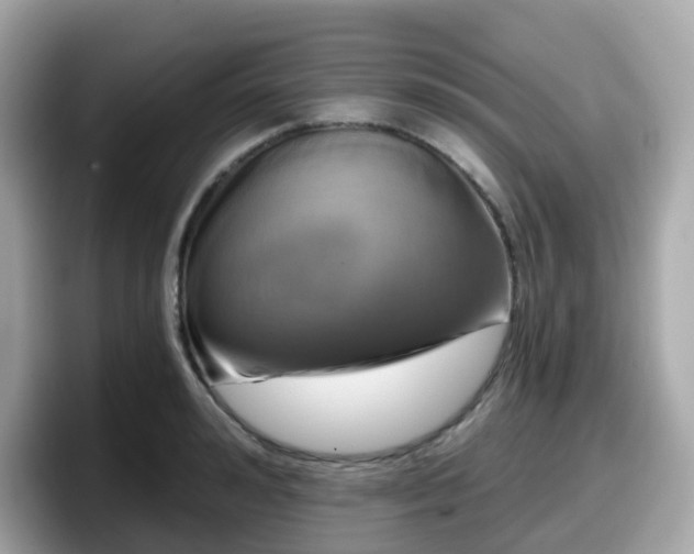 X0000098090992200804110959