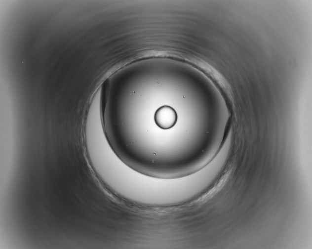 X0000098090993200804110959