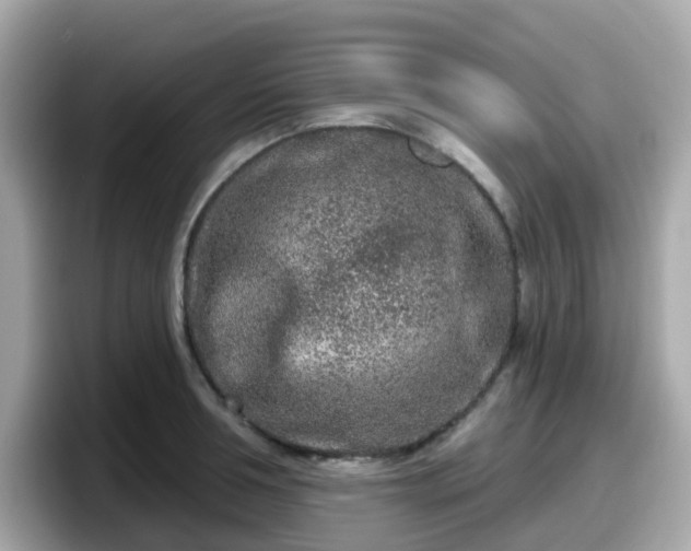X0000098090994200804110959