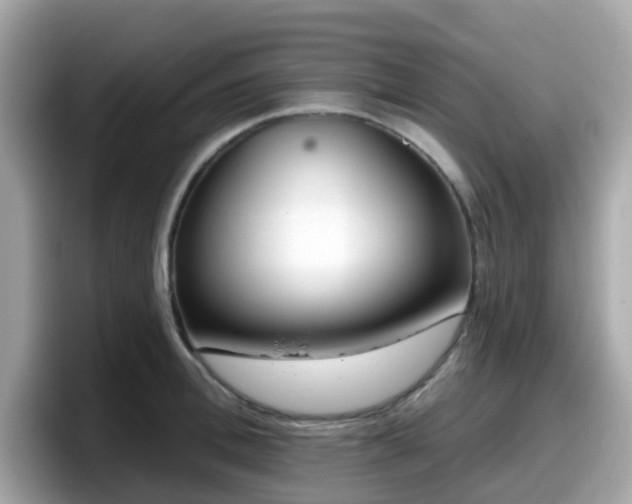 X0000098090996200804110959