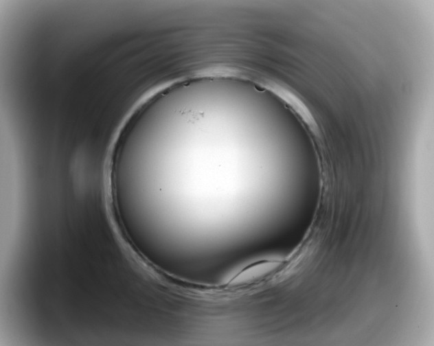 X0000098091000200804110959