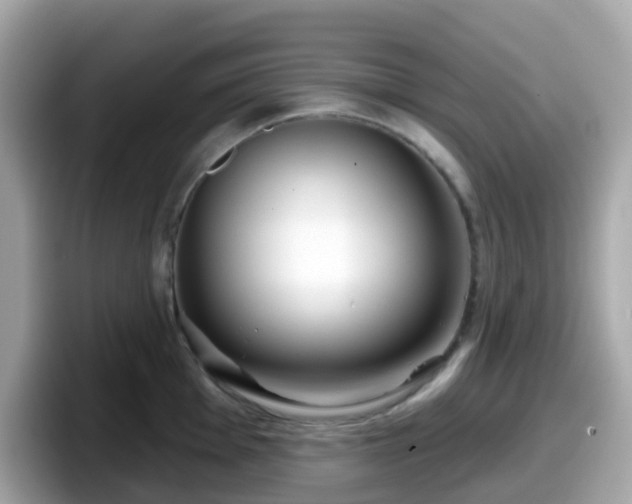 X0000098091001200804110959