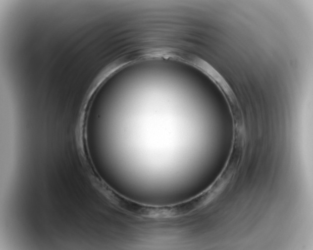 X0000098091002200804110959