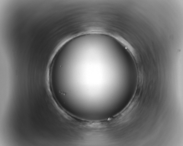 X0000098091006200804110959