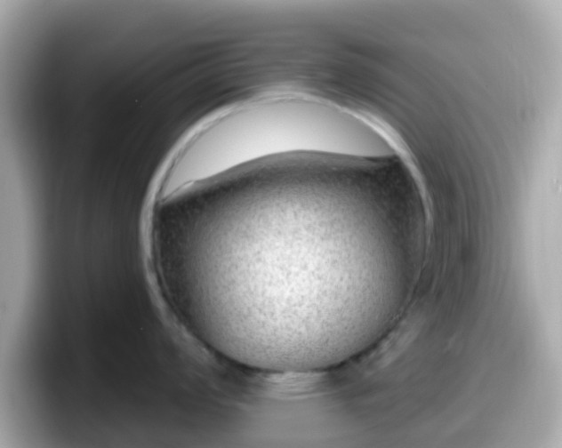 X0000098091008200804110959