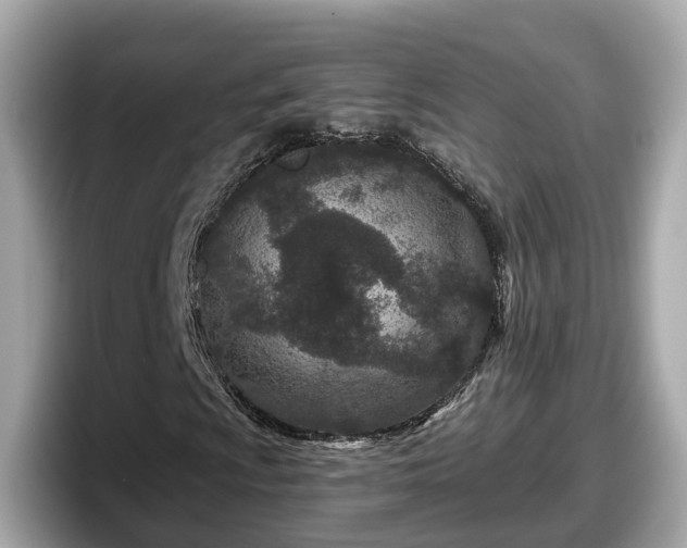 X0000098091009200804110958