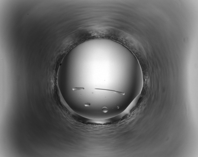 X0000098091012200804110958