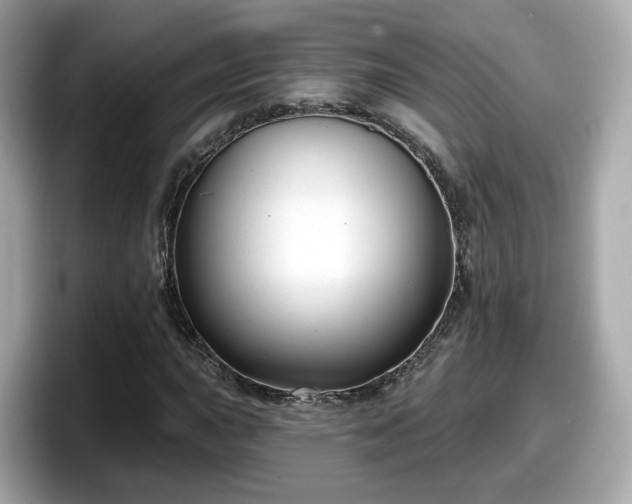 X0000098091015200804110958