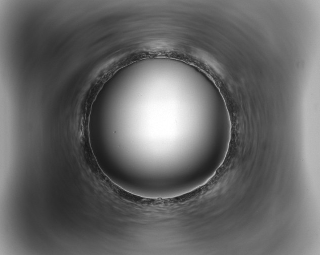 X0000098091016200804110958