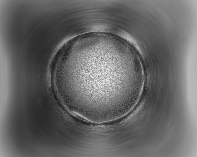 X0000098091019200804110958