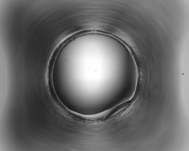 X0000098091020200804110958