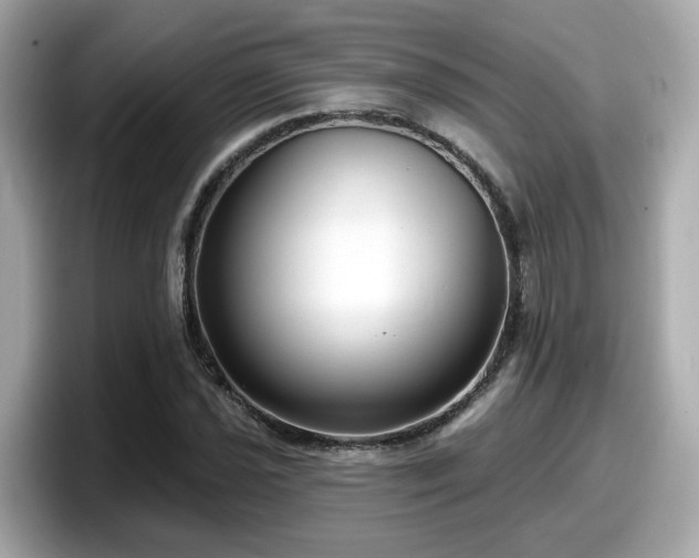 X0000098091021200804110958