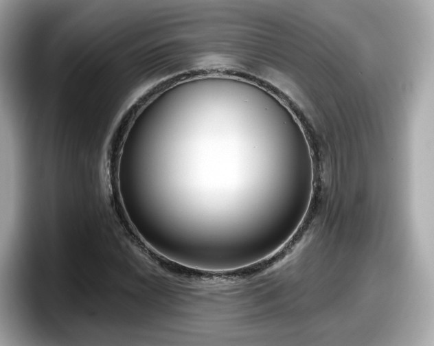 X0000098091022200804110958