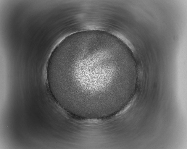 X0000098091023200804110958