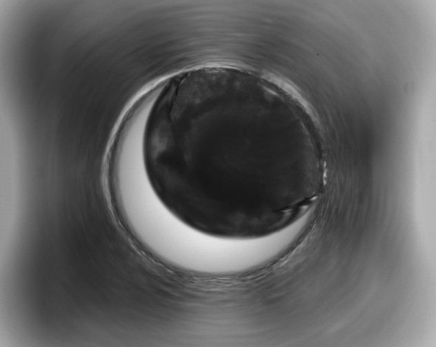 X0000098091024200804110958