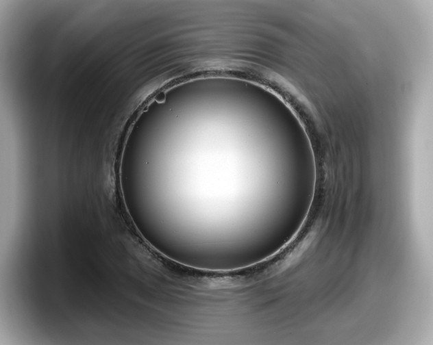 X0000098091025200804110958