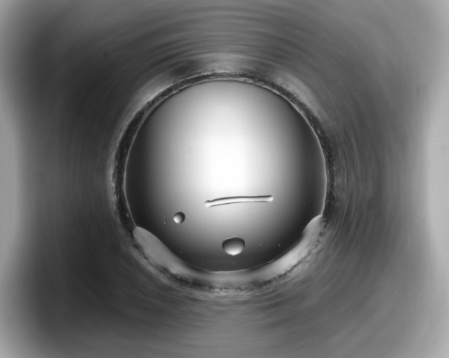 X0000098091026200804110958