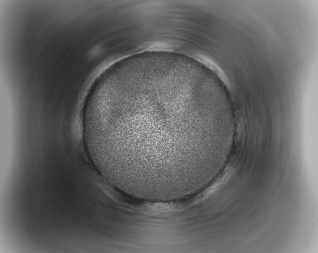 X0000098091027200804110958