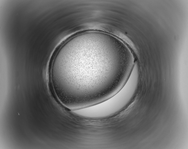 X0000098091028200804110958