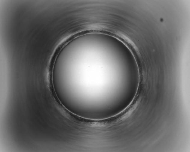 X0000098091029200804110958
