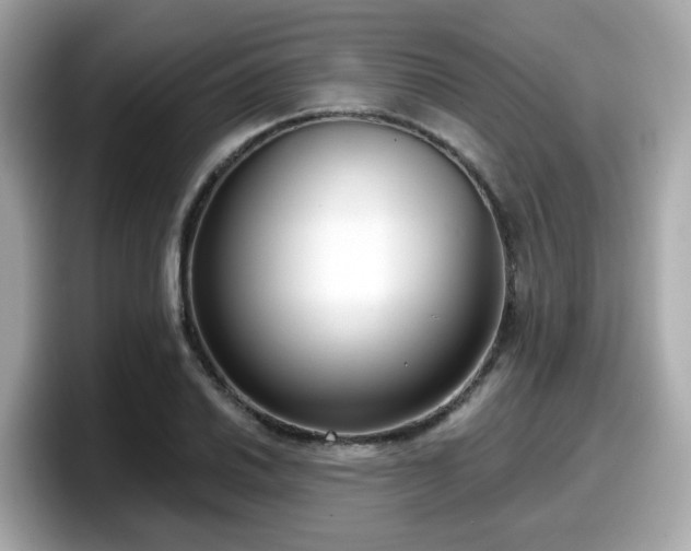 X0000098091030200804110958