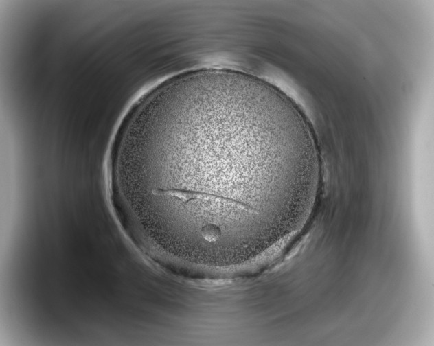 X0000098091032200804110958