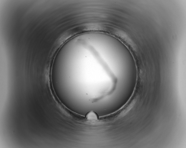 X0000098091033200804110958