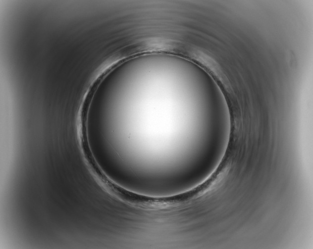 X0000098091034200804110958