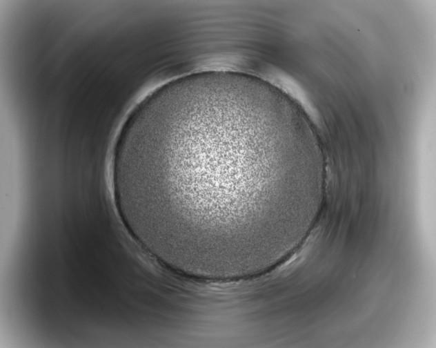 X0000098091035200804110958